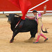 Raul Robles Photo 15