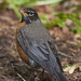 Robin Glenn Photo 17