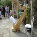Allen Harp Photo 6