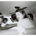 Julie Halstead Photo 12