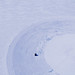 William Freeze Photo 15