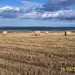James Flicker Photo 7