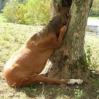 Annette Cowley Photo 7