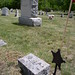 Susan Furlong Photo 11