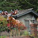 Vicki Groves Photo 6