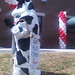 Tamarra Washington Photo 4