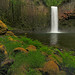Randall Wade Photo 19