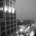 Ann White Photo 19