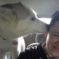 Sandra Whitener Photo 3