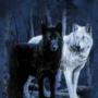 Angela Lentz Photo 27