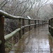 Abraham Rios Photo 16