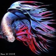 Trisha Snell Photo 5