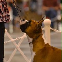 Debra Wilke Photo 7