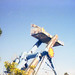 Sheri Elliott Photo 18