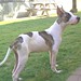 Rodney Small Photo 29