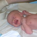 Patrick Mcguirk Photo 15