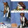 Teri Beck Photo 15