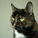 Janie Robinson Photo 38