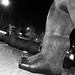 Beverly Goad Photo 11