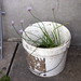 Randal Russell Photo 7