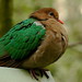 Kimberly Howe Photo 12
