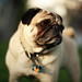 Harley Vaughn Photo 6