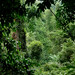 Hua Lang Photo 7
