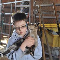 Stephanie Gillis Photo 16