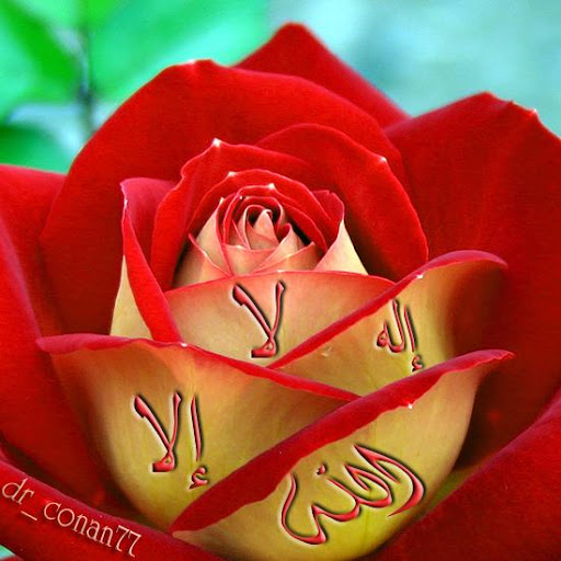 Faheem Ansari Photo 7