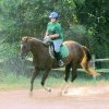 Allison Hughes Photo 1
