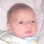 Julie Strickland Photo 22