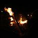 Carol Sutton Photo 12