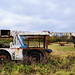Jeremy Crane Photo 18