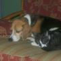 Diane Stratton Photo 25