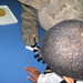 Kenneth Clements Photo 22