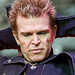 Steven Gerhard Photo 1