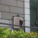 Michele Engel Photo 22