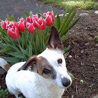 Irene Ward Photo 40