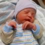 Terri Blevins Photo 27