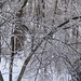 Forrest Bateman Photo 6