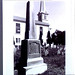 Elizabeth Compton Photo 23