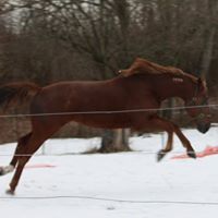 Carol Gregory Photo 19