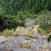 Nancy Rivers Photo 24
