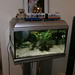 Julie Newhouse Photo 12