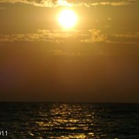 Sarah Sisco Photo 15