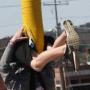 Jordan Levine Photo 13