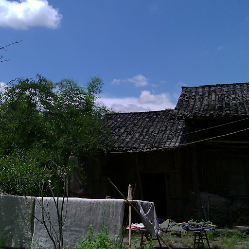 Lingyun Zhang Photo 18