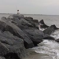 David Snipes Photo 11