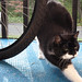 Debbie Tyre Photo 5