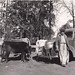 Robert Marsh Photo 25